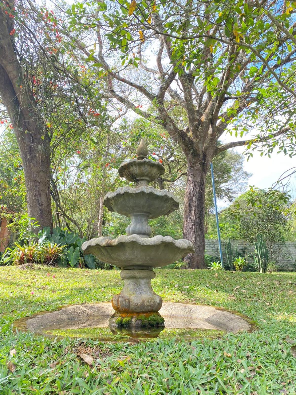 Flor De Iris Guest house *